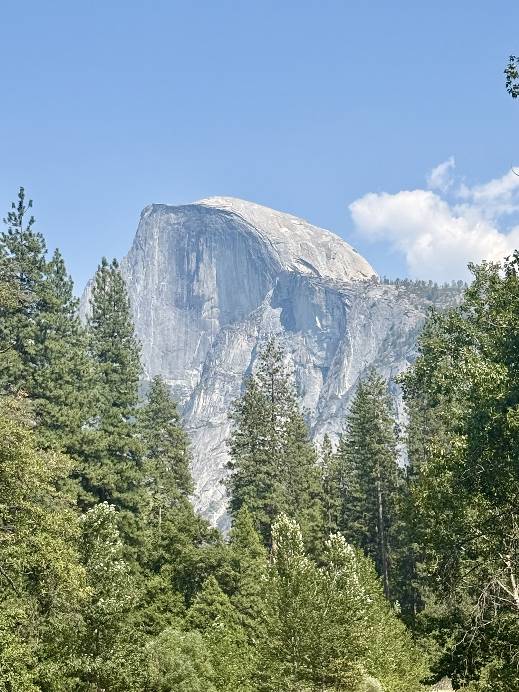 Half Dome rising above the trees in Yosemite Valley