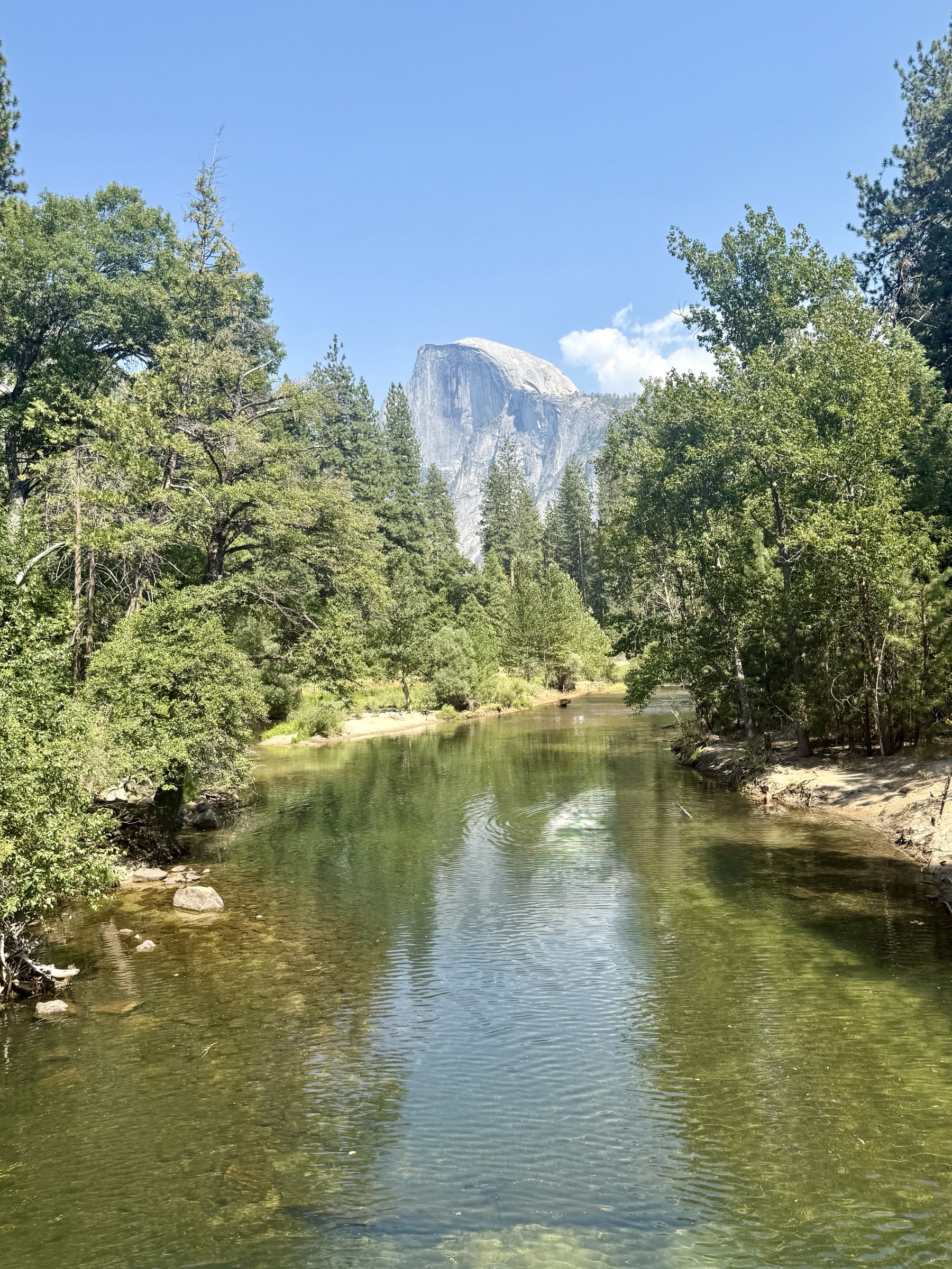 The Merced River flowing through Yosemite Valley with Half Dome in the distance